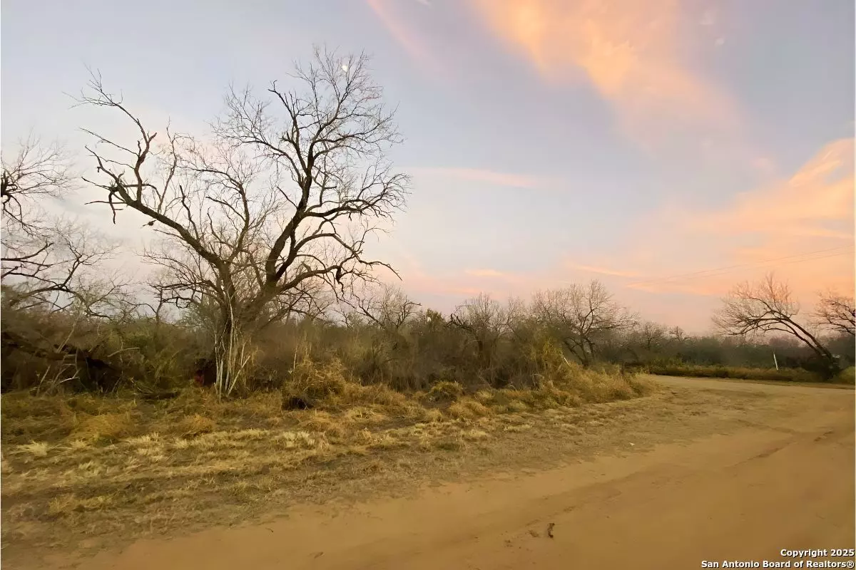 Christine, TX 78012,0 M Ave