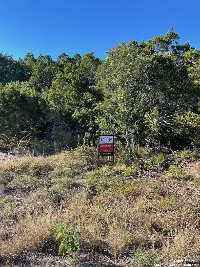 Mico, TX 78056,LOT 89 County Road 273