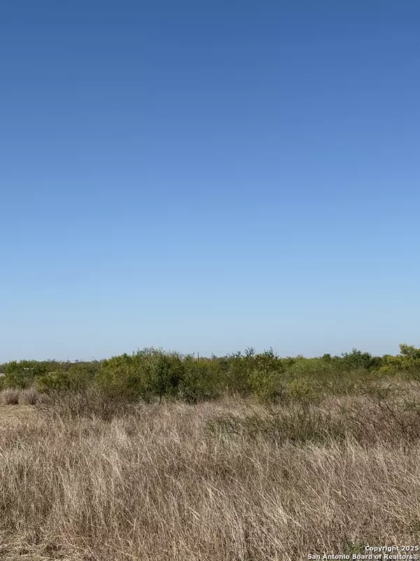 Charlotte, TX 78011,1446 County Road 332