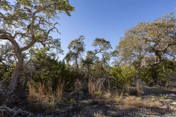 Boerne, TX 78006,BLOCK 1, LOT 12 Standing Tall