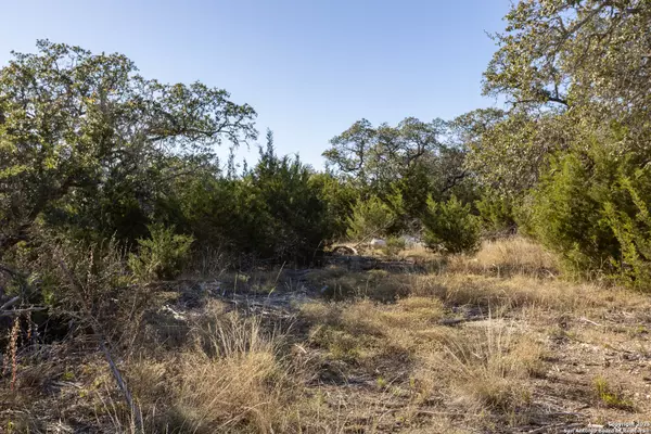 Boerne, TX 78006,BLOCK 1, LOT 12 Standing Tall