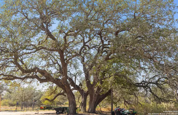 Devine, TX 78016,1304 County Road 777