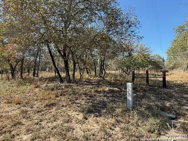 Floresville, TX 78114,1009 Wild Flower