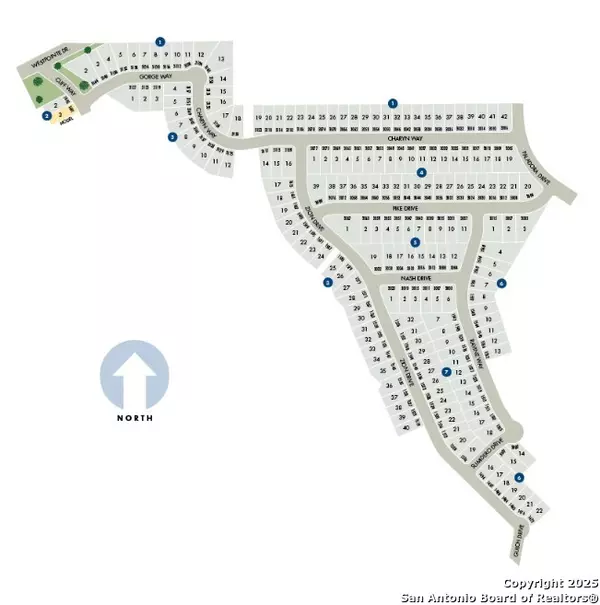 New Braunfels, TX 78132,1560 Ravine