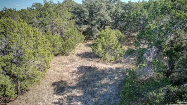 Canyon Lake, TX 78133,915 Five Oaks