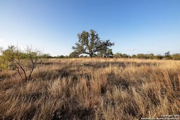 Fredonia, TX 76842,000 Black Jack Road