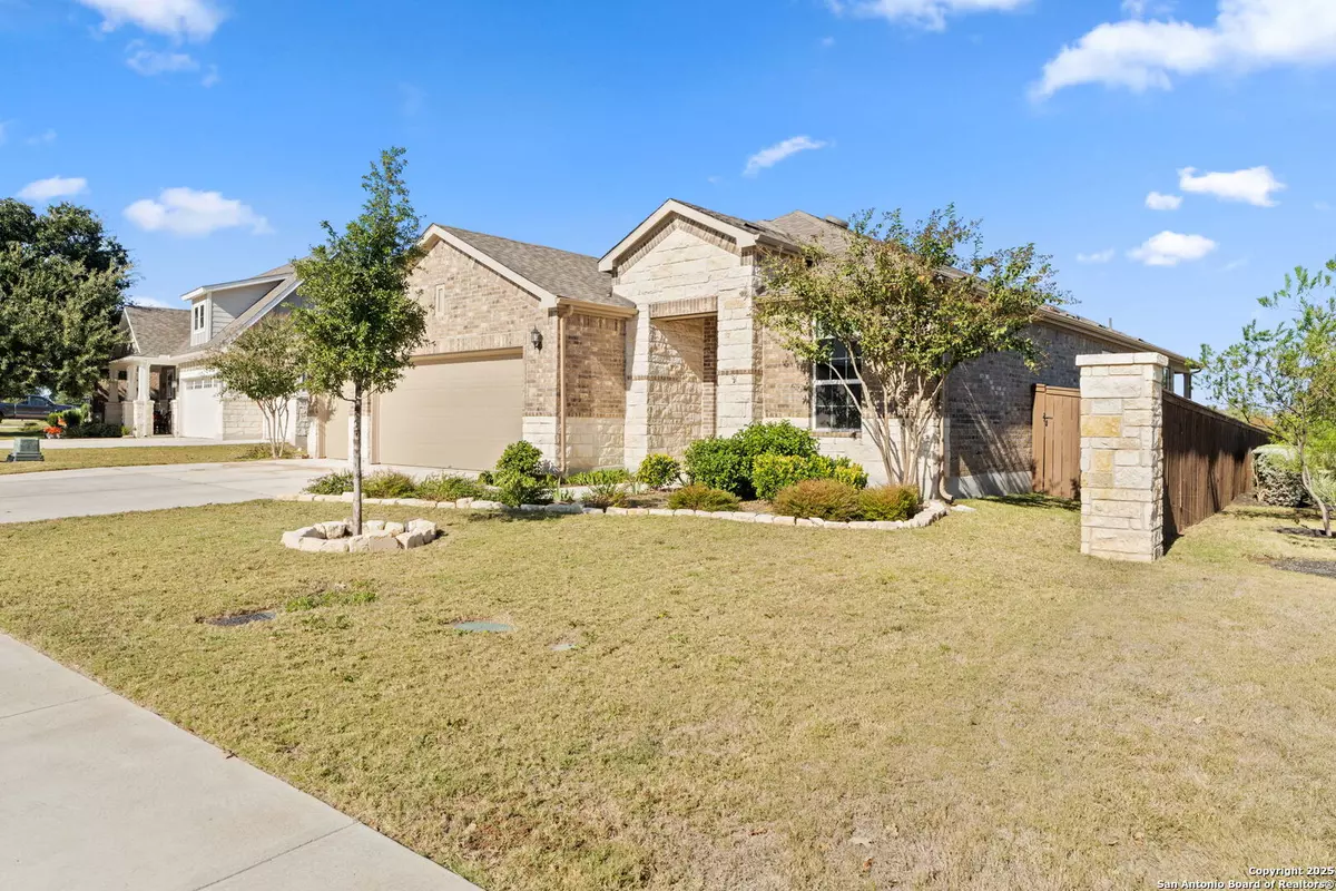 Marble Falls, TX 78654,300 Fiddleneck