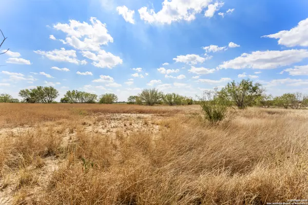 Poteet, TX 78065,3041 FM 1333