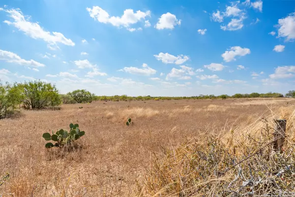 Poteet, TX 78065,2849 Fm 1333