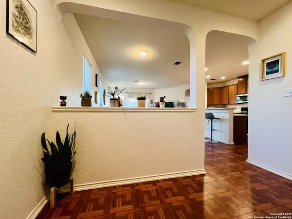 San Antonio, TX 78254,9003 Canter Horse