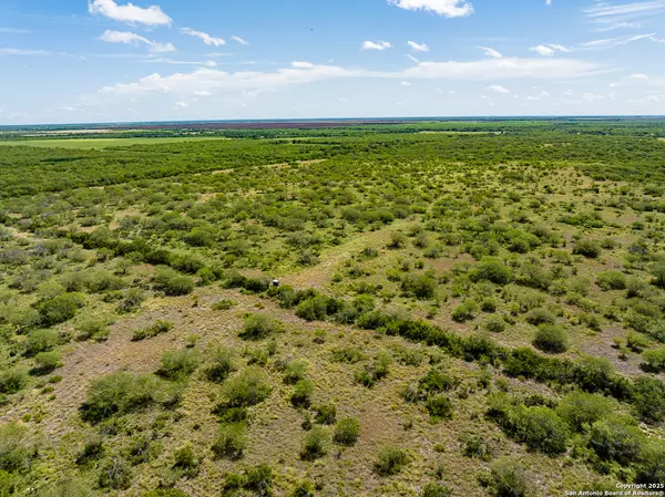 Alice, TX 78332,TBD County Road 119