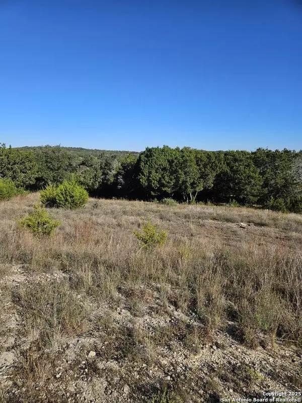 Canyon Lake, TX 78133,2385 Comal Spgs