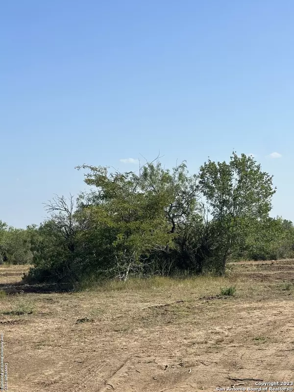 Stockdale, TX 78160,5894 Fm 1107 Unit B-Tract 1