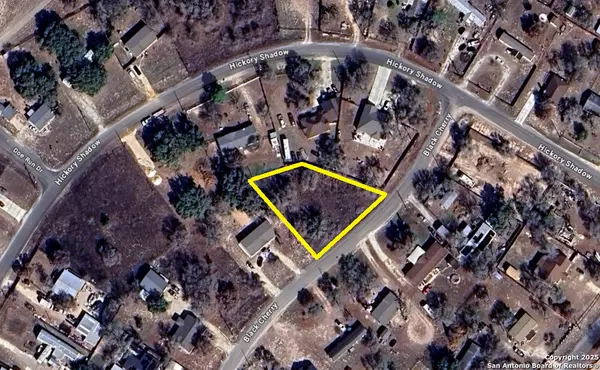 22711 Black Cherry, Elmendorf, TX 78112