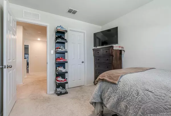 San Antonio, TX 78219,519 wild olive