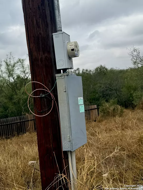 Cotulla, TX 78014,103 oleander