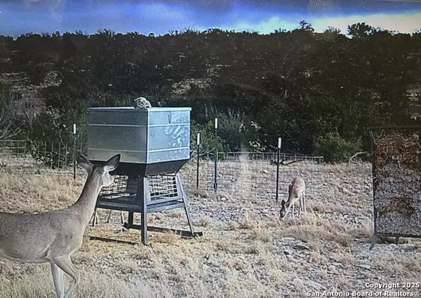 Comstock, TX 78837,TBD Van Cleef Rd