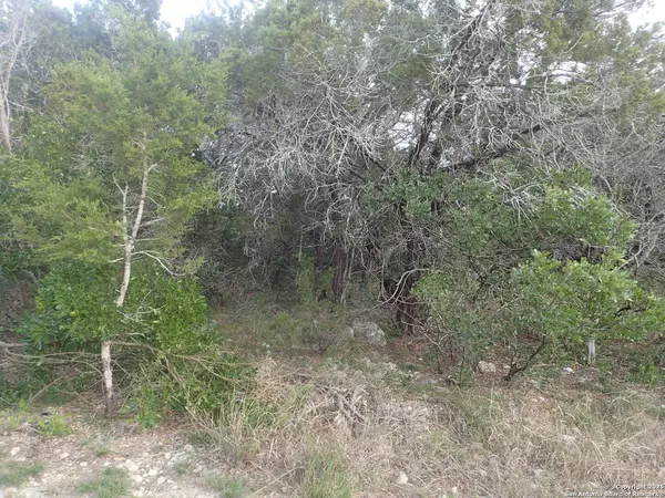 Lakehills, TX 78063,1-2 Circle