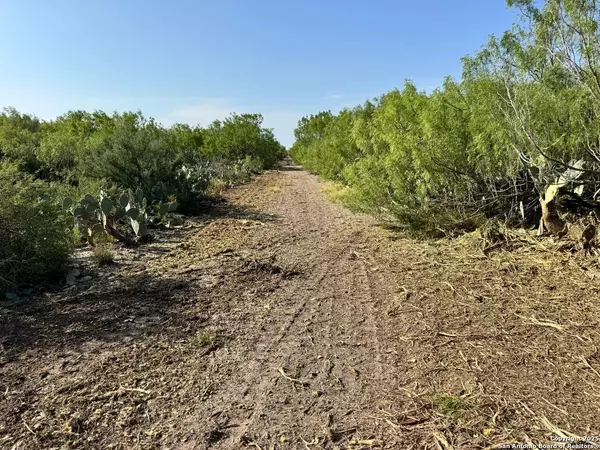 0 Cameron Ln, Fowlerton, TX 78021