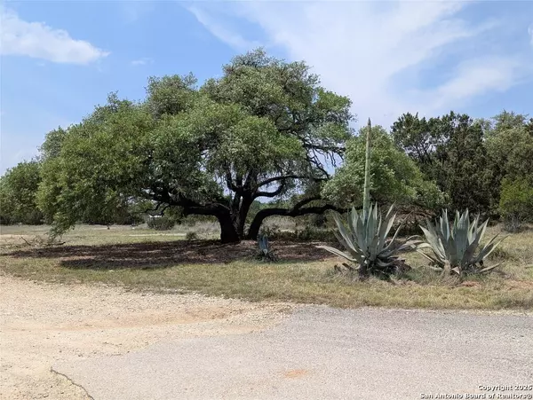 San Marcos, TX 78666,301 rim rock ranch