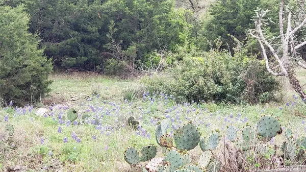 San Marcos, TX 78666,301 rim rock ranch