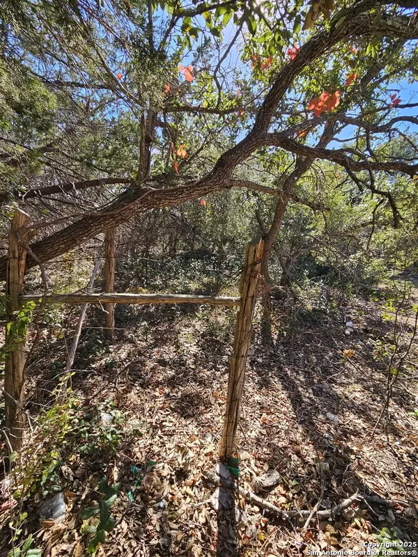 Spring Branch, TX 78070,1290 Tee Pee