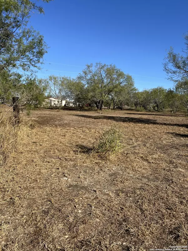 Jourdanton, TX 78026,00 Mesquite and Mulberry