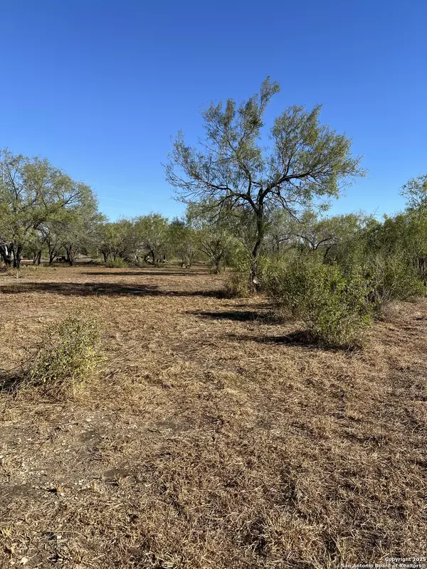 Jourdanton, TX 78026,00 Mesquite and Mulberry