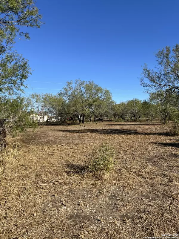 Jourdanton, TX 78026,00 Mesquite and Mulberry