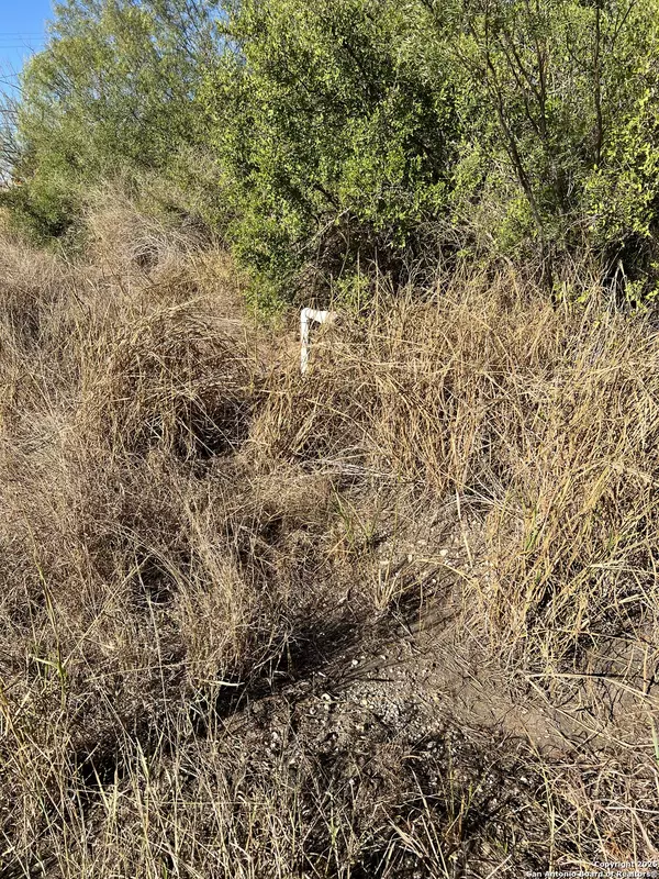 Jourdanton, TX 78026,00 Mesquite and Mulberry