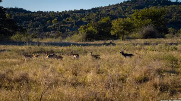 Llano, TX 78643,7702 ranch road 965