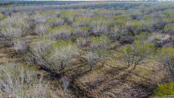 Marion, TX 78124,000 Gin