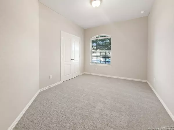 New Braunfels, TX 78132,335 Cylamen