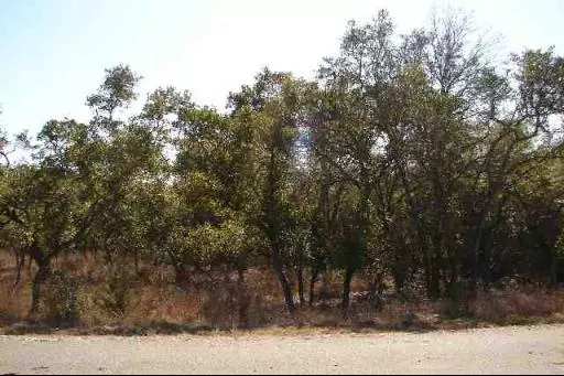 Spring Branch, TX 78070-6016,314 BENTWOOD DR