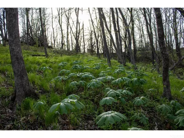 Brighton, IA 52540,0000 Yew AVE