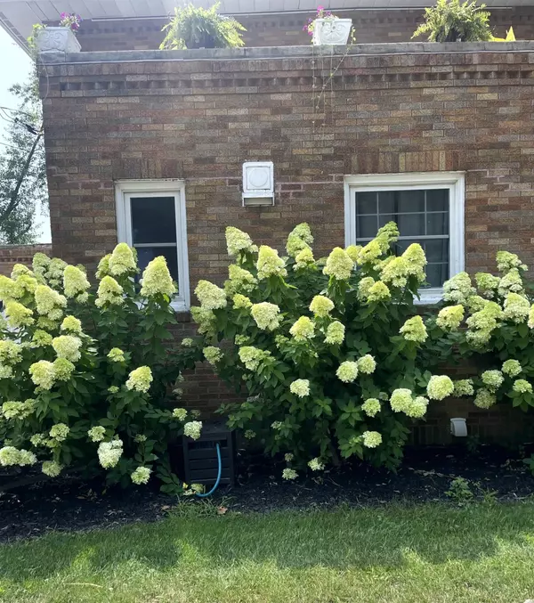 West Union, IA 52175,201 S Pine ST