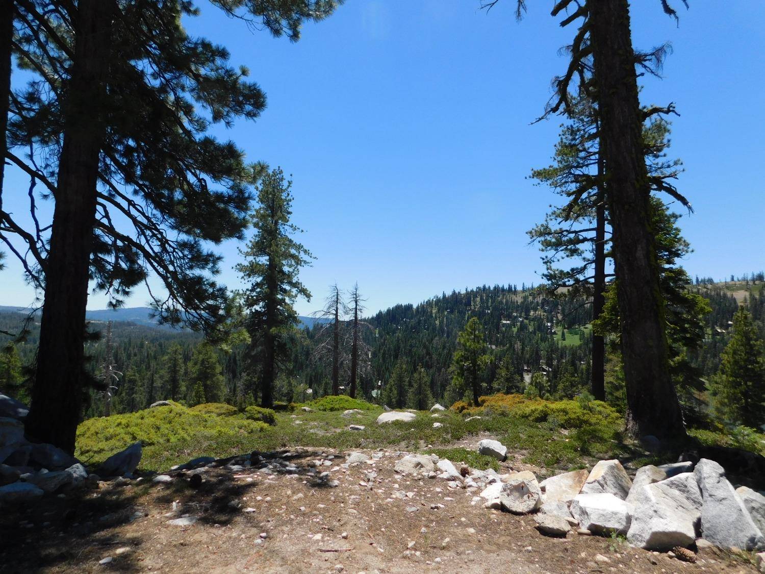 0 Flynn Road, Bear Valley, CA 95223