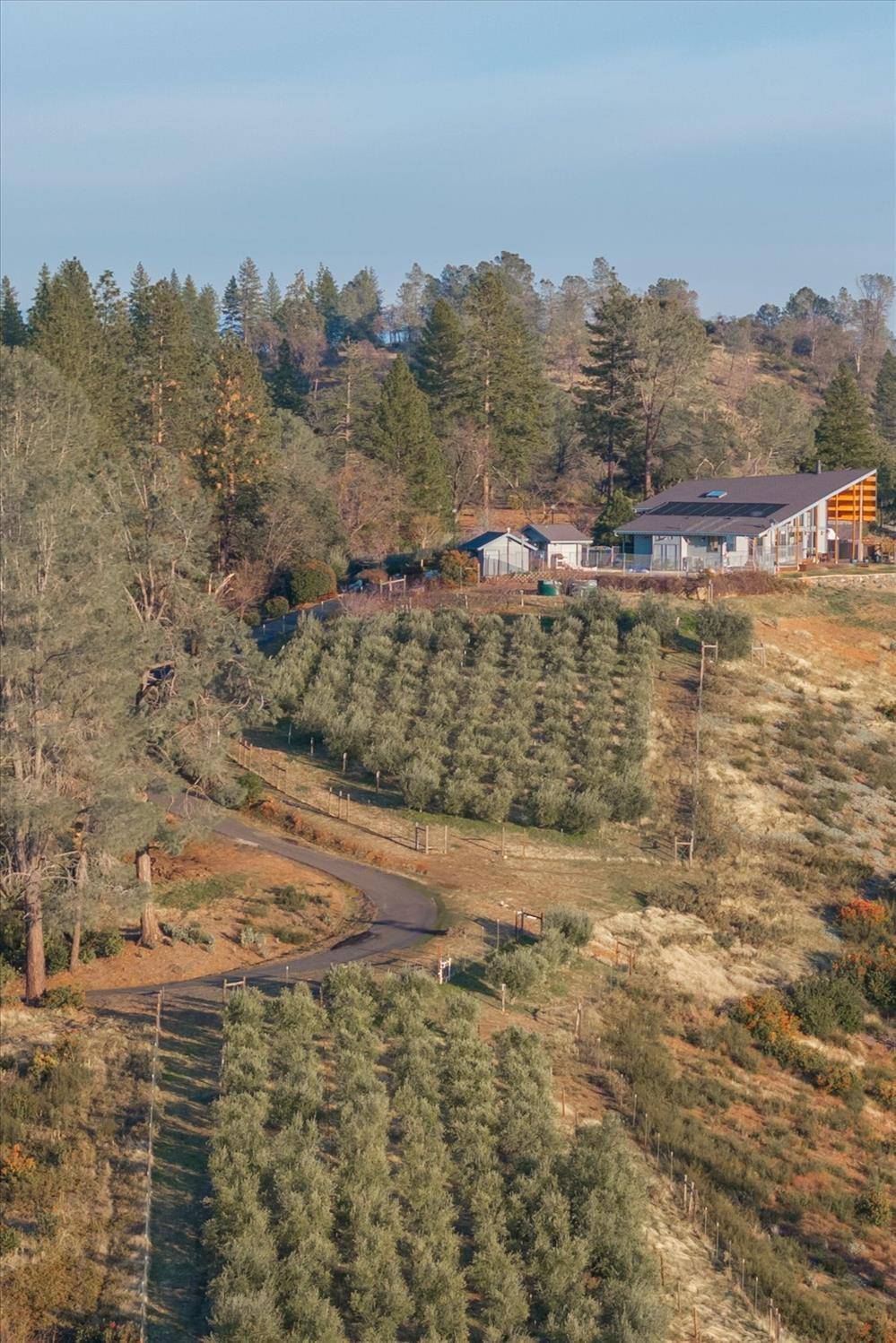 Murphys, CA 95247,984 Crestview Drive