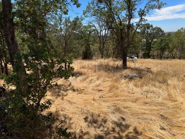 Valley Springs, CA 95252,4088 Bartelink DR