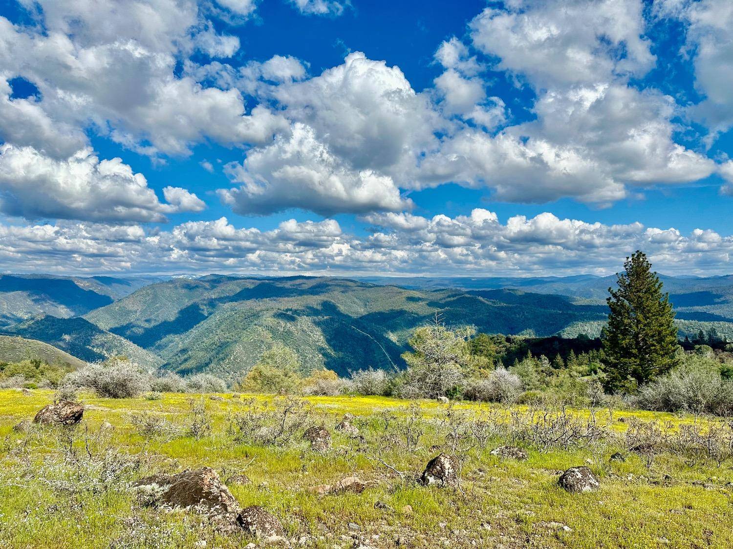 1 Pennsylvania Gulch RD, Murphys, CA 95247