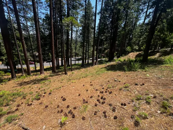 2904 Venado DR, Arnold, CA 95223