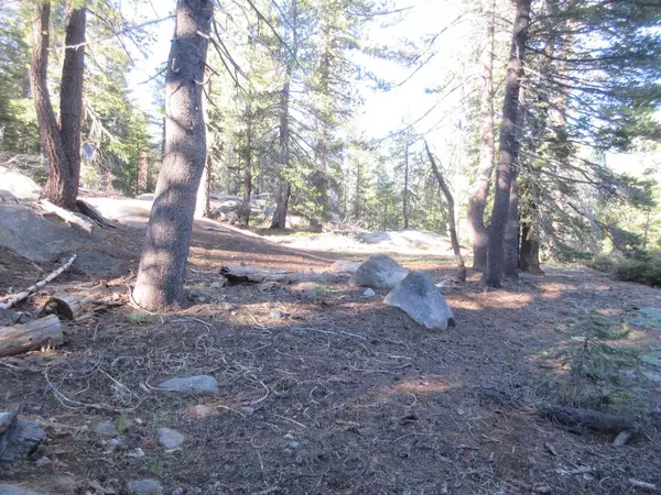 175 Silver Tip Drive, Bear Valley, CA 95223