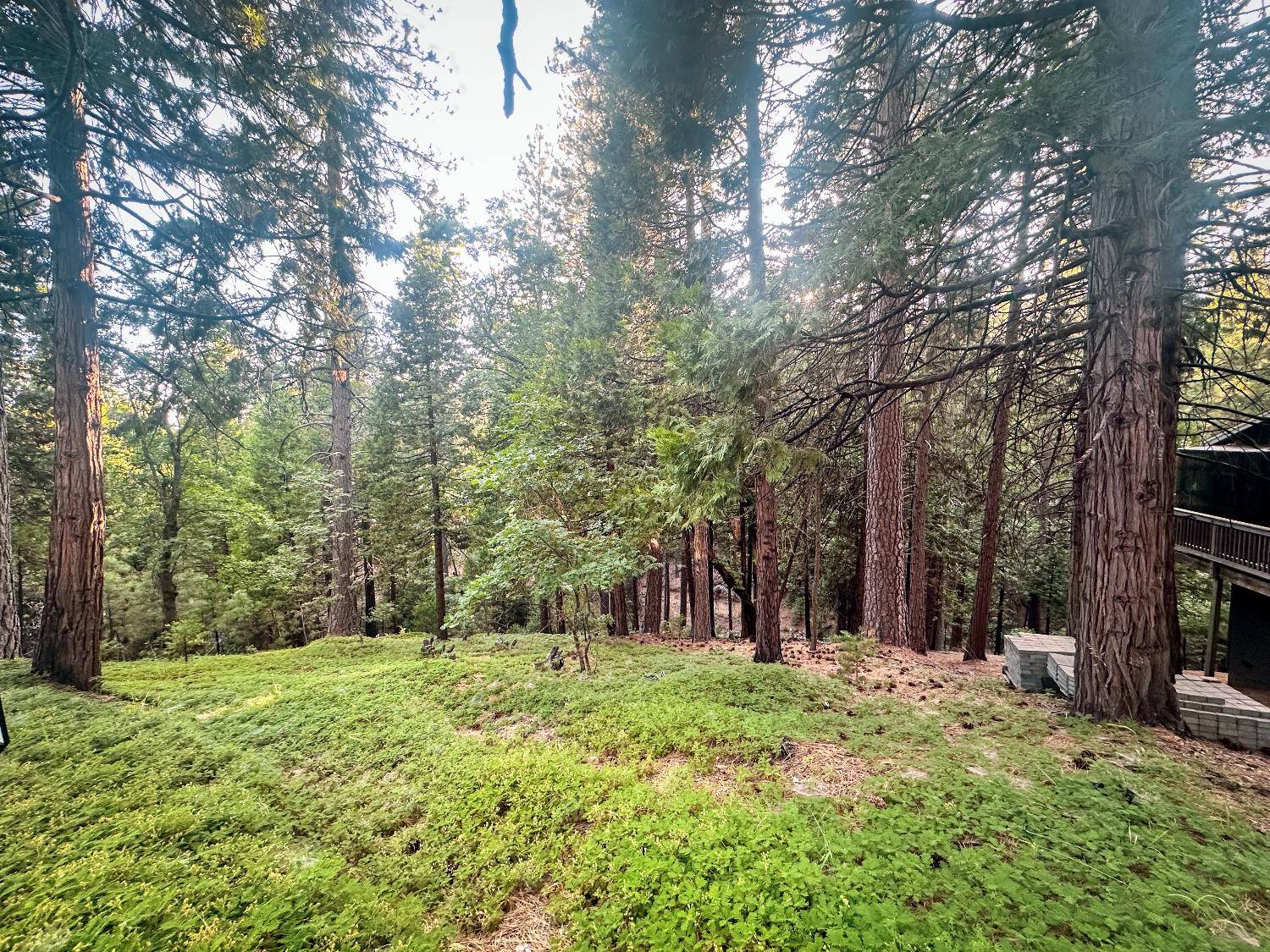 1800 Kit Carson CIR, Arnold, CA 95223