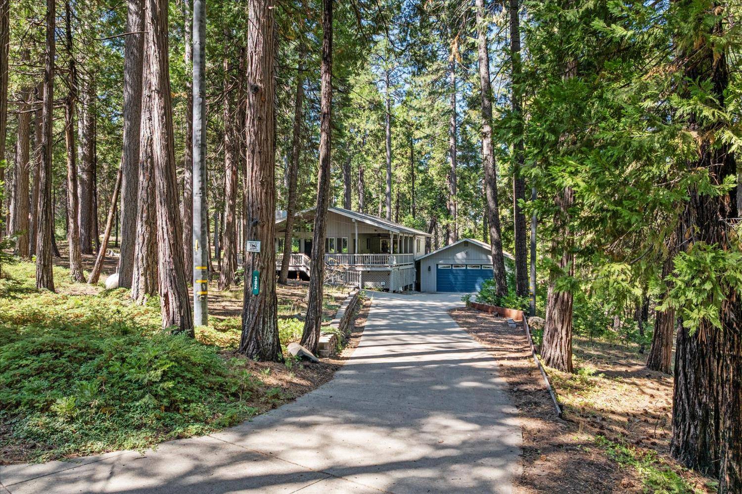 302 David Lee RD, Arnold, CA 95223