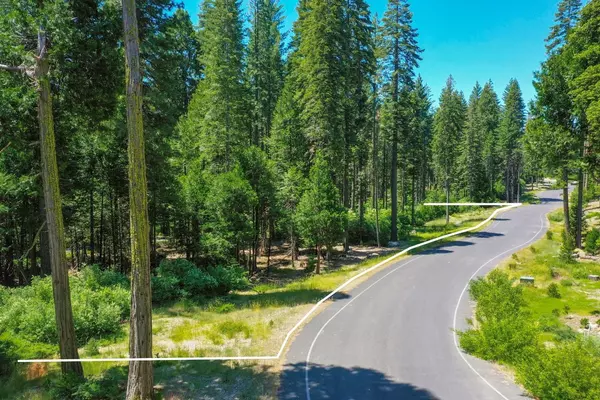 Dorrington, CA 95223,11 Timber Trail CT