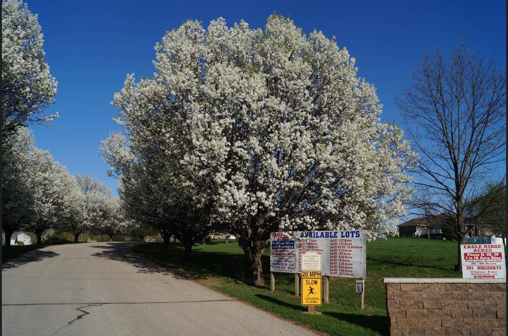 Missouri Valley, IA 51555,LOT 43 EAGLE RIDGE
