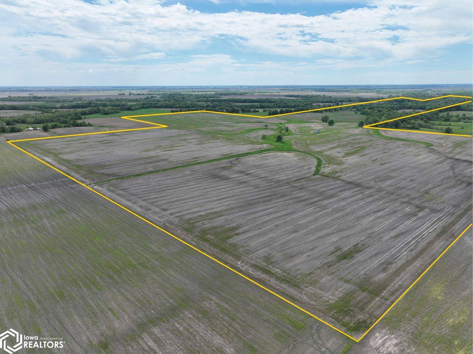 Boston Chapel Rd, Waggoner, IL 62572