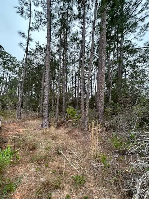 Navarre, FL 32566,7233 Siesta Street