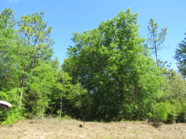 Lot 9 Richardson Road, Crestview, FL 32539