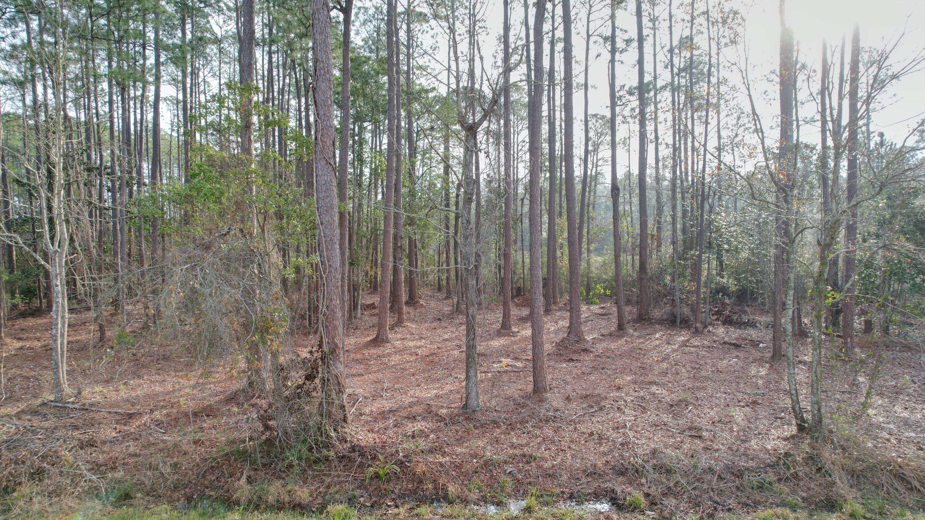 Milton, FL 32583,4529-4533 Bayside Drive